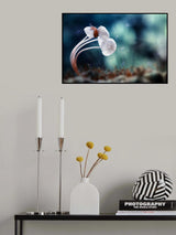 Snail and Mushrooms Poster och Canvastavla