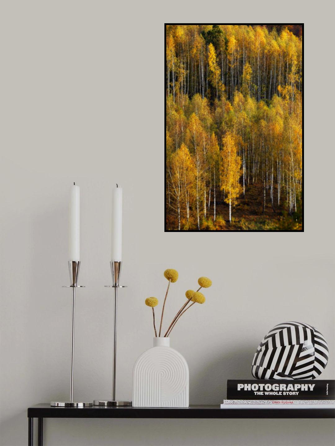 Poster och Canvastavla