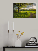 Road in nature Poster och Canvastavla