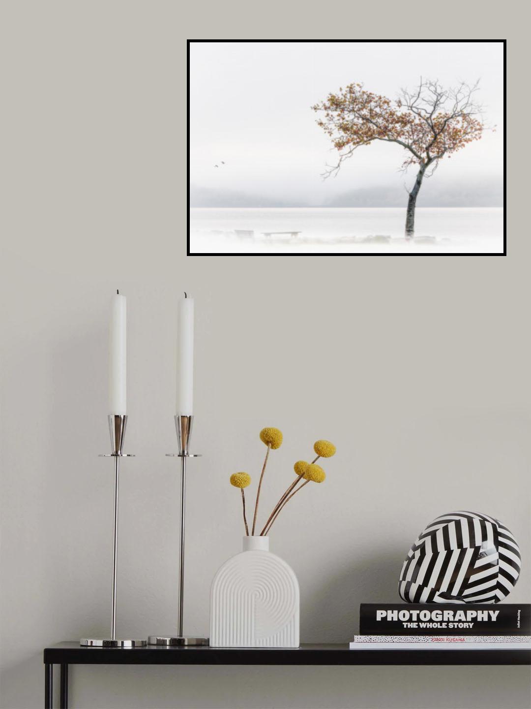 Late Fall Poster och Canvastavla