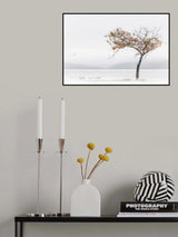 Late Fall Poster och Canvastavla