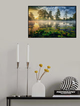 Fairytale morning Poster och Canvastavla