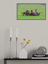 A Cruel Nature Poster och Canvastavla