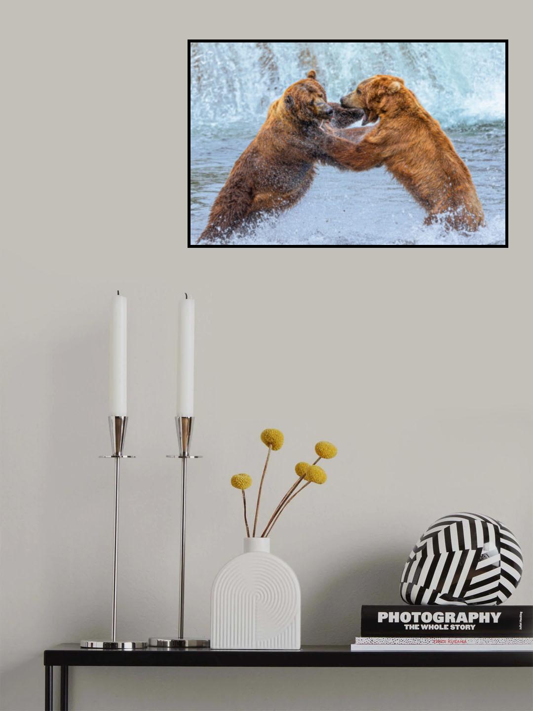 Fight for fish Poster och Canvastavla