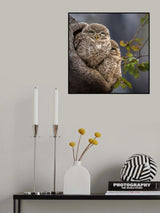 Silent Sentinels Poster och Canvastavla