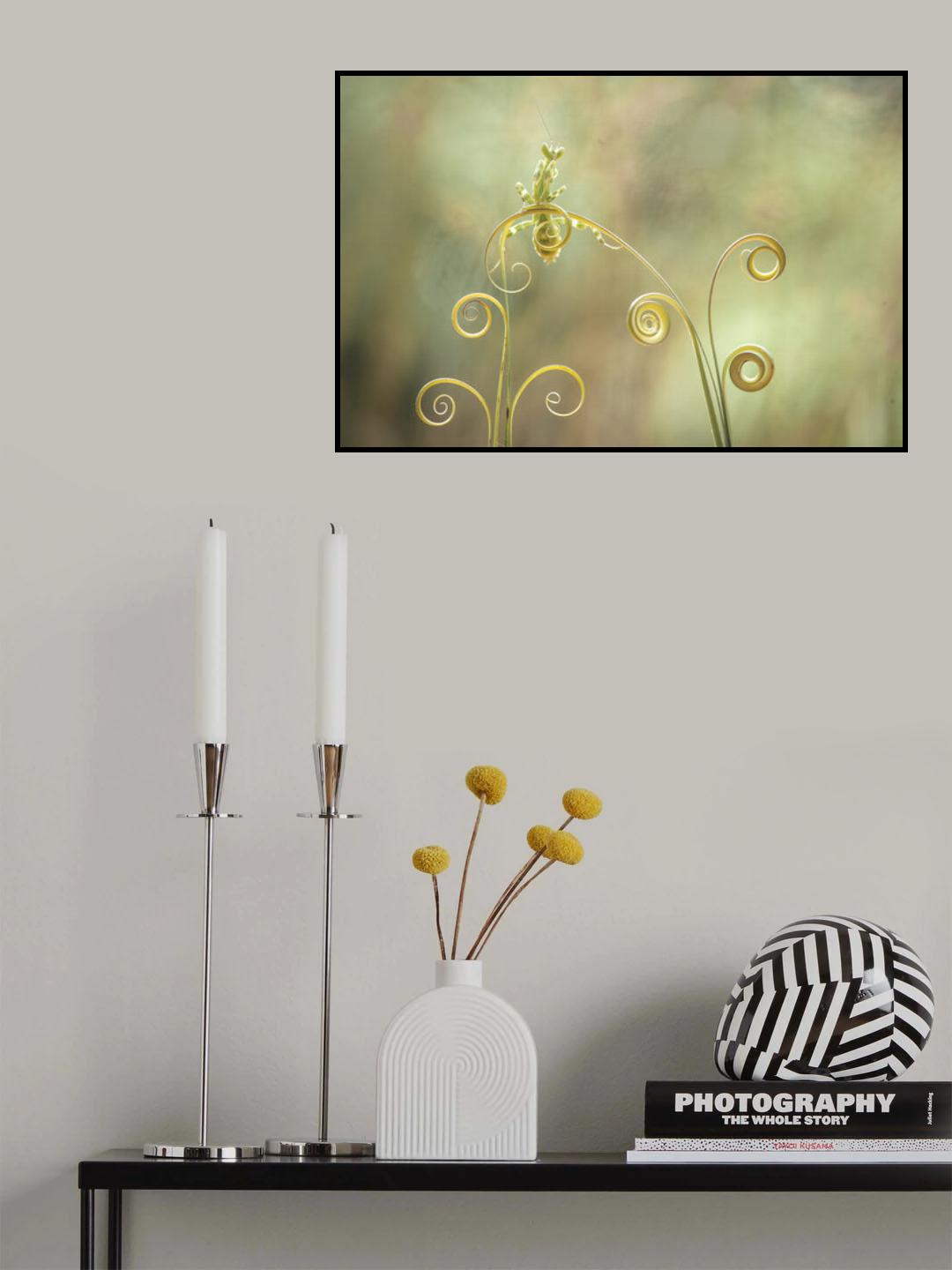 Creobroter gemmatus on Leaf Poster och Canvastavla