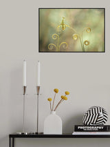 Creobroter gemmatus on Leaf Poster och Canvastavla