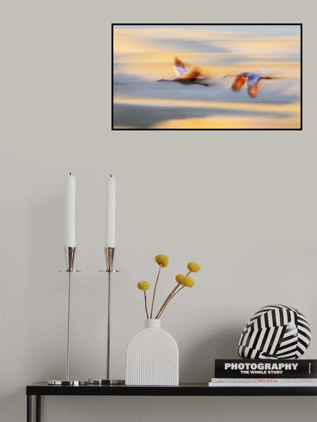 Duet Poster och Canvastavla