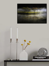 floating in the fog Poster och Canvastavla