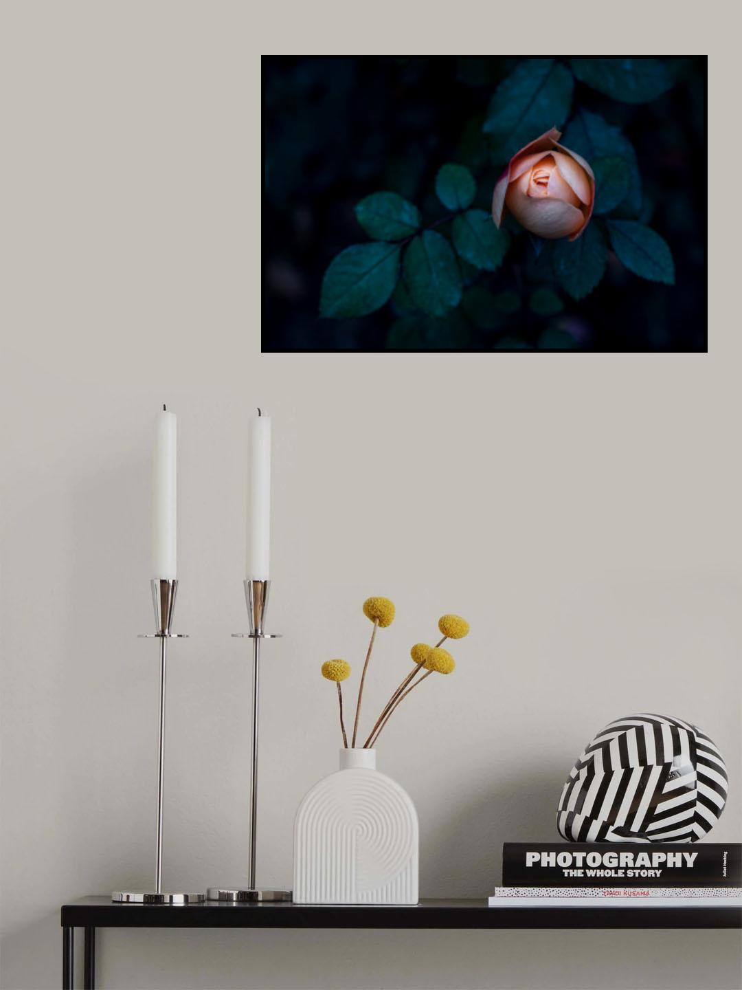 a Seductive Rose Poster och Canvastavla