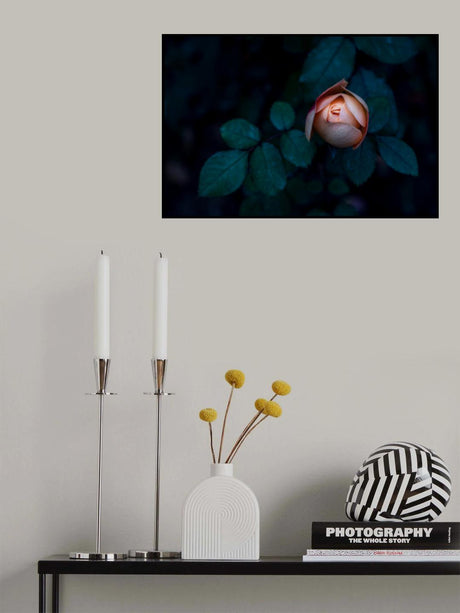 a Seductive Rose Poster och Canvastavla