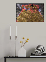 Date season Poster och Canvastavla