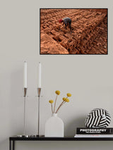 Daily life wages Poster och Canvastavla