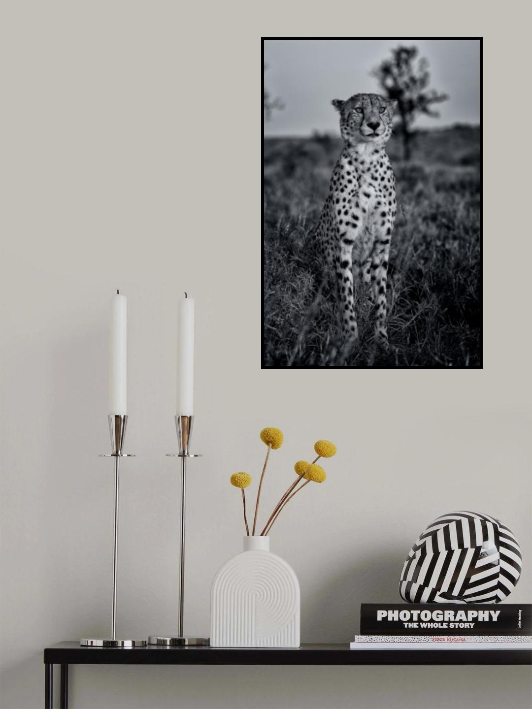 Poster och Canvastavla
