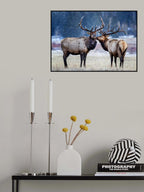 First snowstorm Poster och Canvastavla