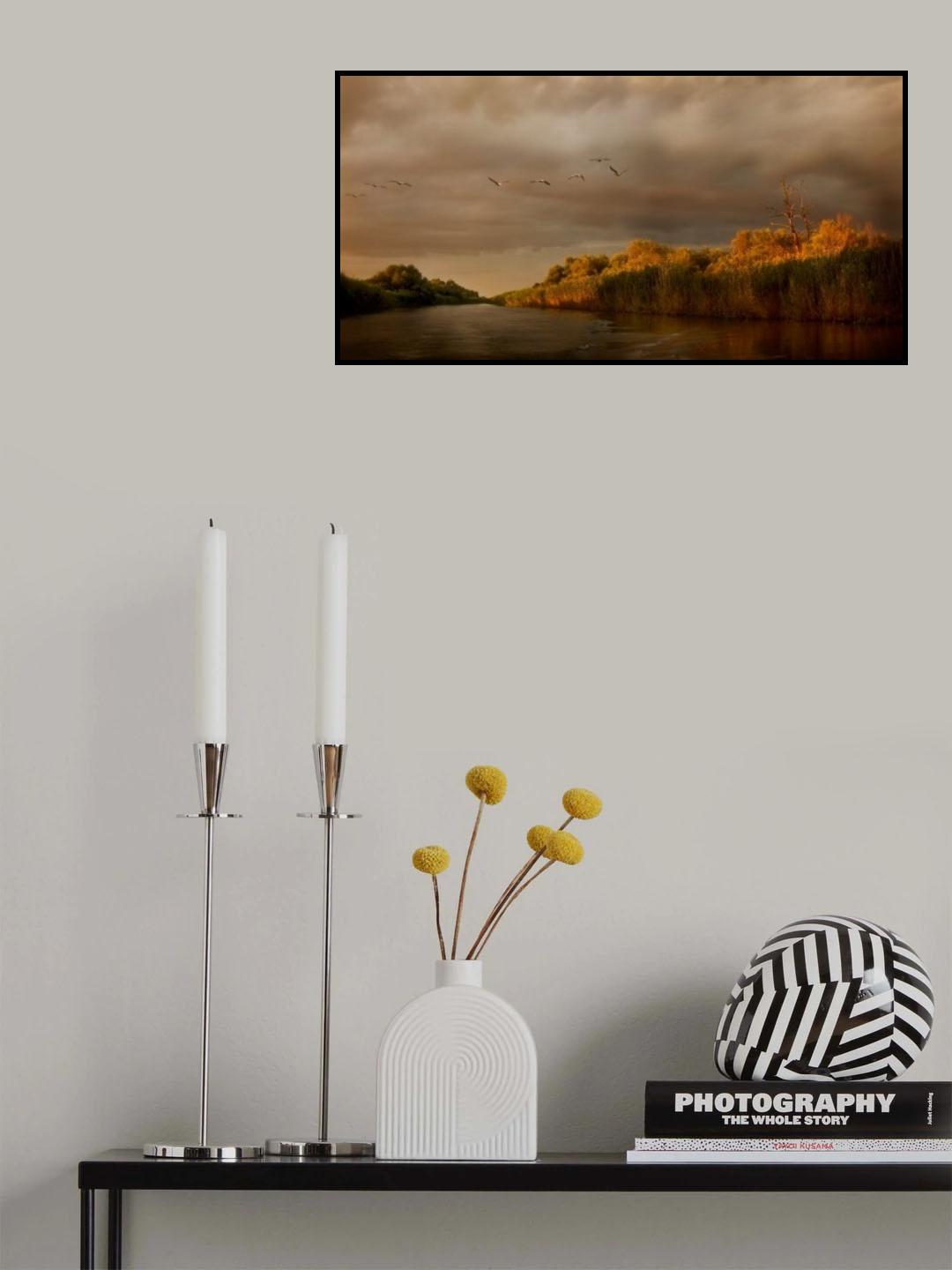 Danube Delta Poster och Canvastavla
