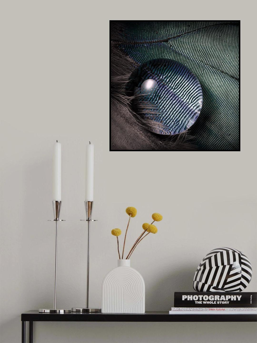 Magnify Poster och Canvastavla
