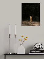 Shadows &amp; Light Poster och Canvastavla