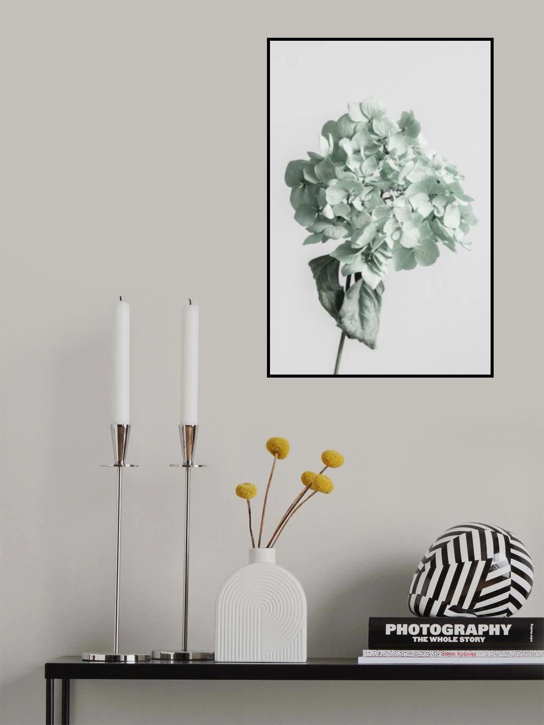 Green dried flower Poster och Canvastavla