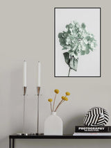 Green dried flower Poster och Canvastavla