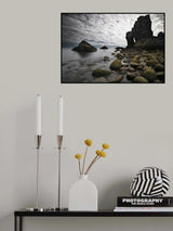The Gate Poster och Canvastavla