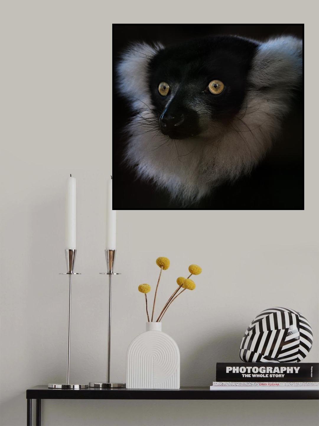 Vari Poster och Canvastavla
