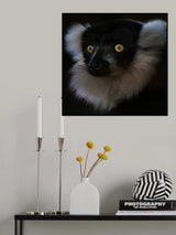 Vari Poster och Canvastavla