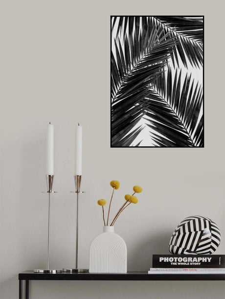 Palm Leaf Black &amp; White III Poster och Canvastavla