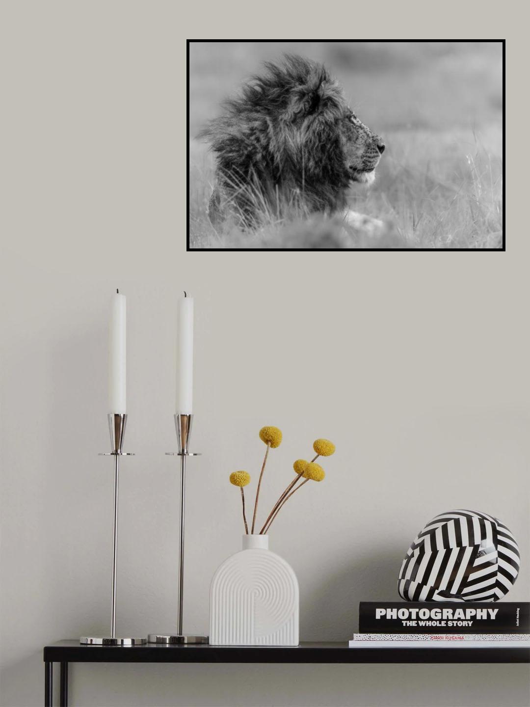 The king is alone Poster och Canvastavla