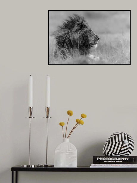 The king is alone Poster och Canvastavla