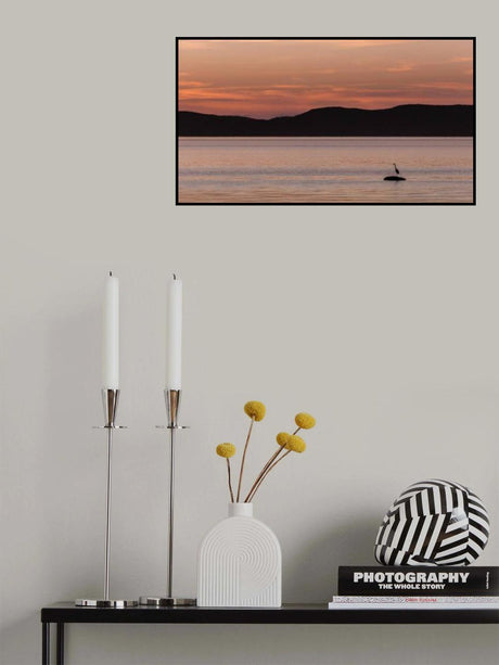 A peaceful wait Poster och Canvastavla