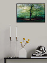 forest Poster och Canvastavla