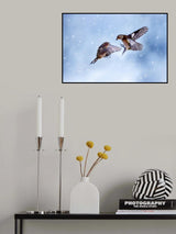 Battle in the snow Poster och Canvastavla