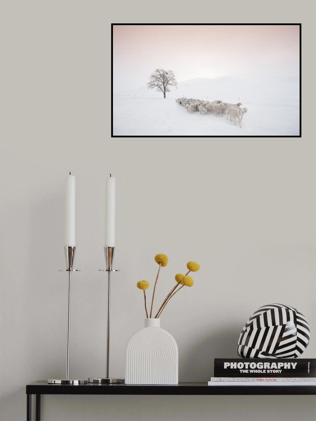 Flock looking for food Poster och Canvastavla