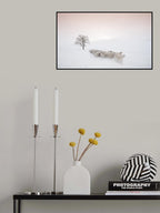 Flock looking for food Poster och Canvastavla
