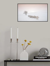 Flock looking for food Poster och Canvastavla