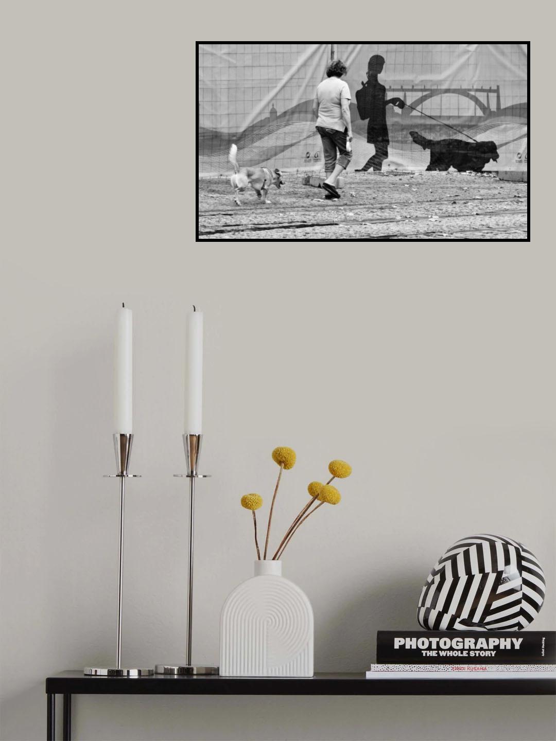 Shadows from the past Poster och Canvastavla