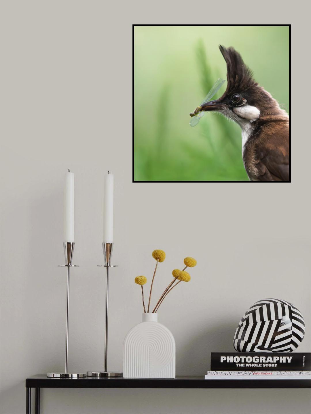 N/A Poster och Canvastavla