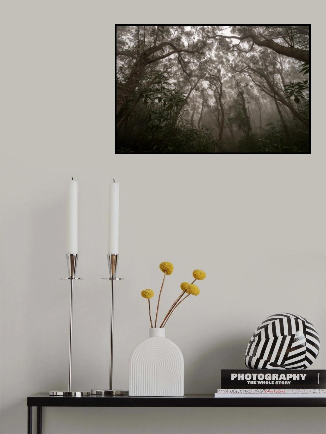 Heart of Darkness Poster och Canvastavla