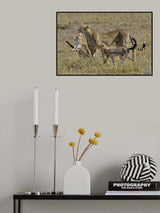 Hunting Poster och Canvastavla