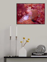 Pink Dream Poster och Canvastavla