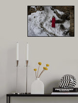country girl Poster och Canvastavla