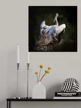 looking backwards Poster och Canvastavla