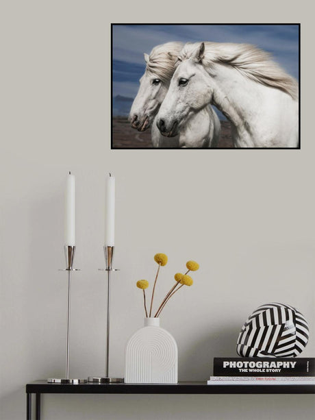 Blowing Poster och Canvastavla