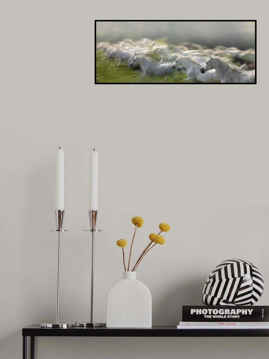 In gallop Poster och Canvastavla