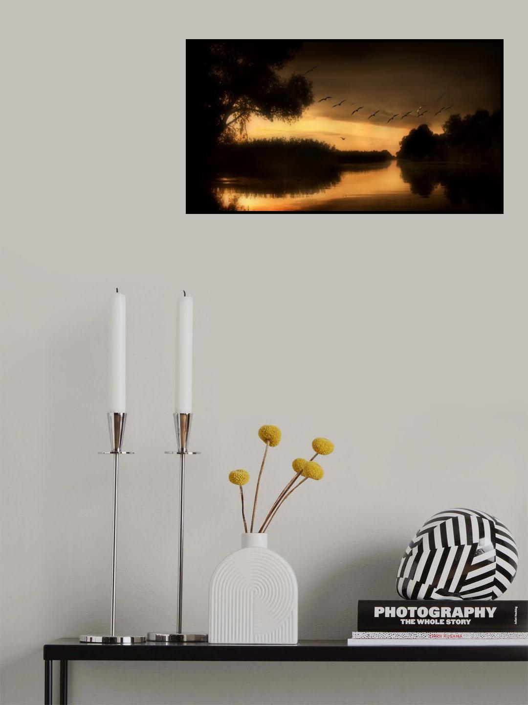 Danube Delta Poster och Canvastavla