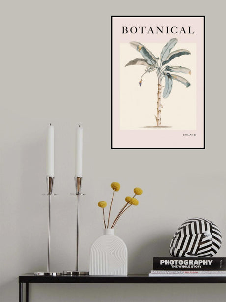 Botanical Palm Poster och Canvastavla