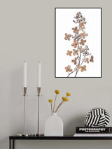 Hydrangea Paniculata Poster och Canvastavla