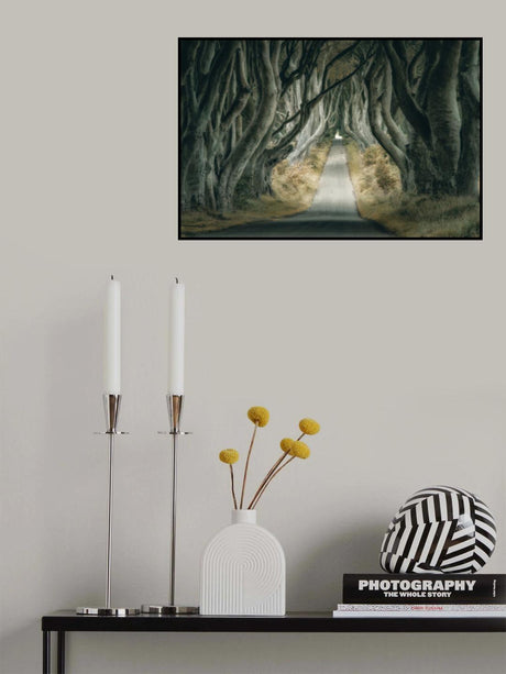 Irish Hedges Poster och Canvastavla