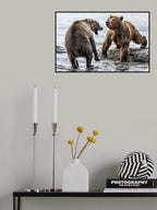 Contrariness Poster och Canvastavla